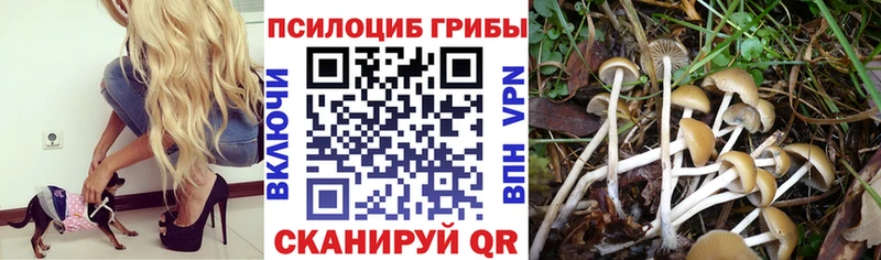 Галлюциногенные грибы ЛСД hydra вход Ленск